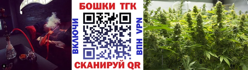 купить наркоту  Приморск  Шишки марихуана тримм 